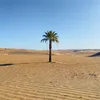 人生漫漫长途中